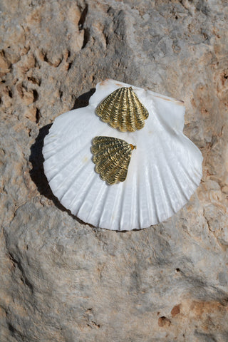 Two small gold-coloured scallop shell ornaments with ridged texture resting on a large white scallop shell, top-down on rock.