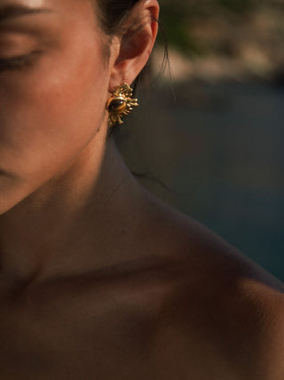 Tiger Eye Crescent Sun Earrings