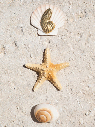 Birth Of Venus Brooch