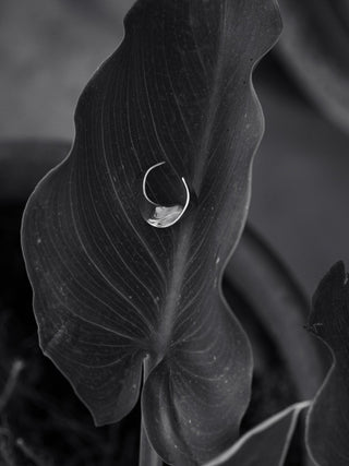 Cordella Ring In Sterling Silver