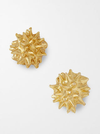 Sea Urchin Earrings