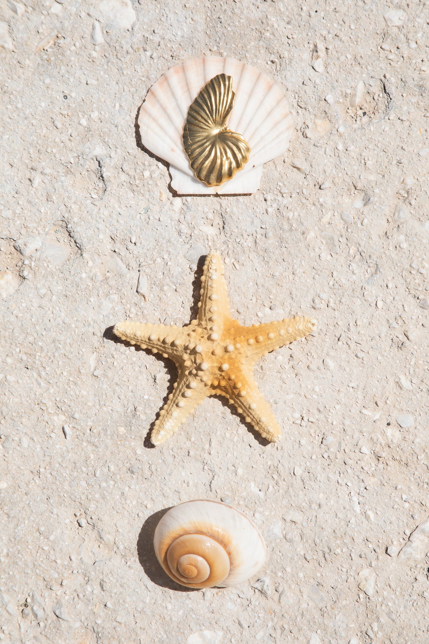 Birth Of Venus Brooch