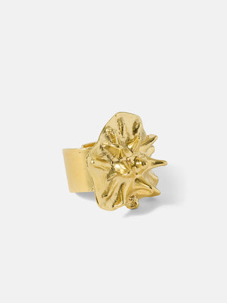 Sea Urchin Ring