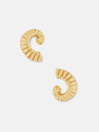 Tiny Shell Earrings