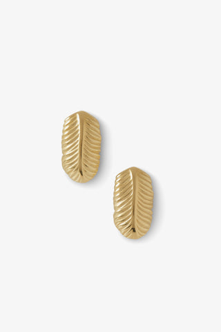 Tiny Feather Earrings