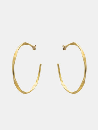 Amazon Hoops